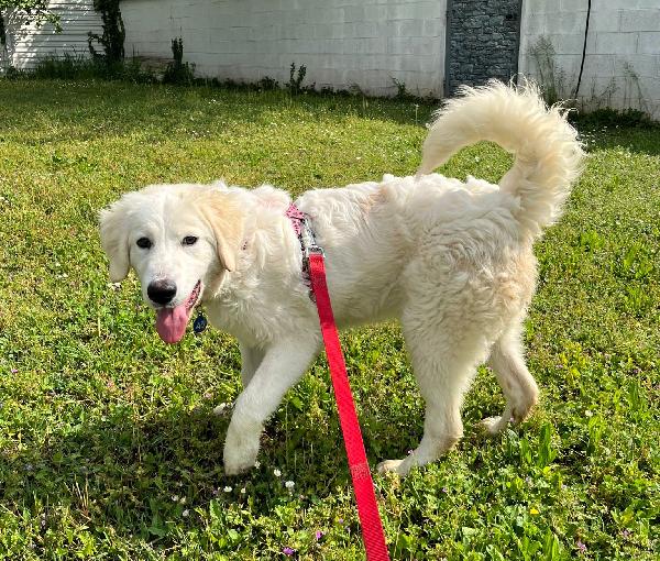 LELLA DELIZIOSA MAREMMANINA Foto 3